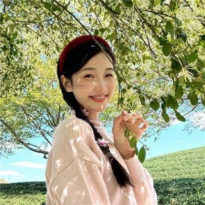 虚构推理第二季