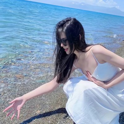 小狗吉米走私事件